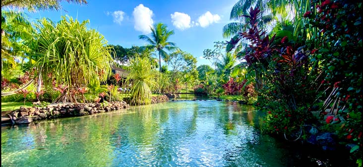 Tao Paradise Gallery Image 3